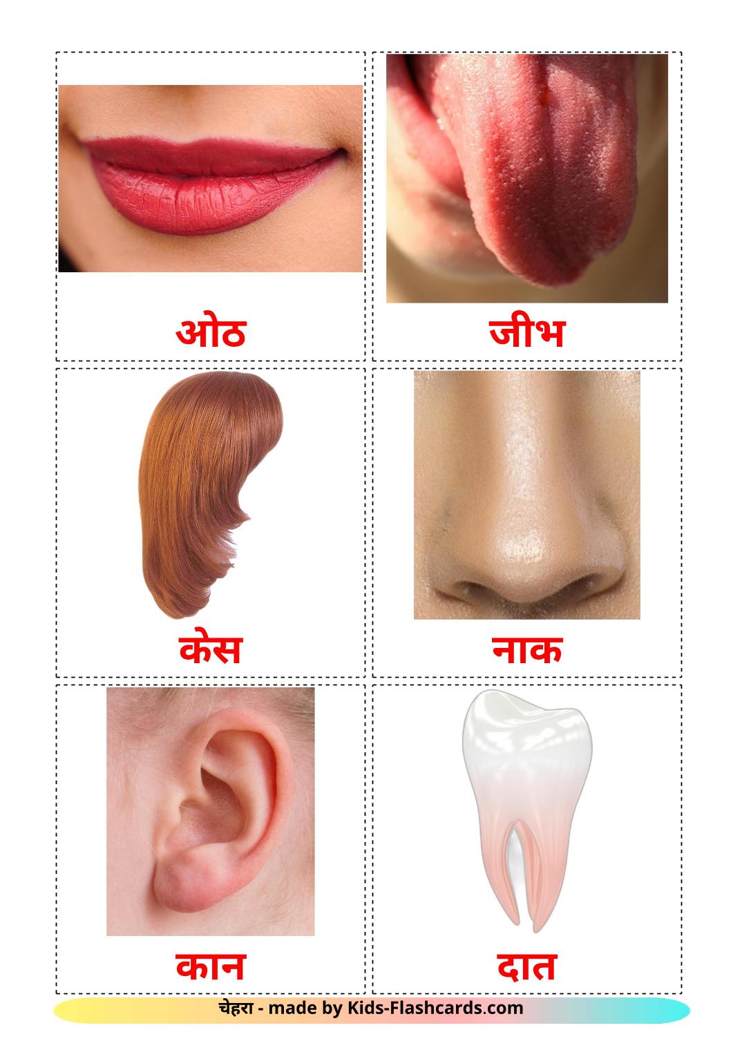 Gesicht - 20 kostenlose, druckbare Marathi Flashcards 