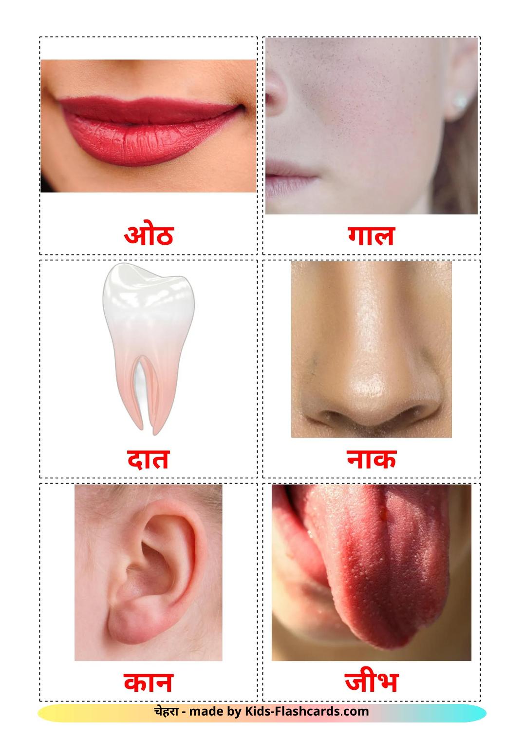 Face - 20 Free Printable marathi Flashcards 