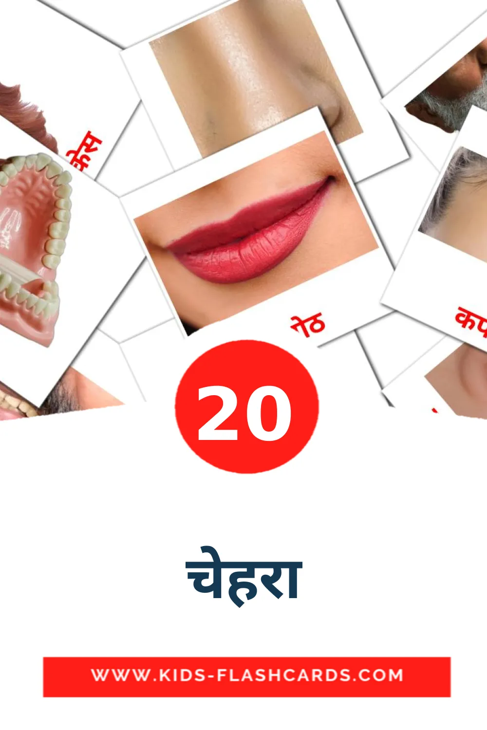 20 चेहरा Picture Cards for Kindergarden in marathi