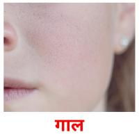 गाल picture flashcards