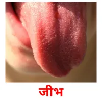 जीभ picture flashcards