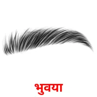 भुवया picture flashcards