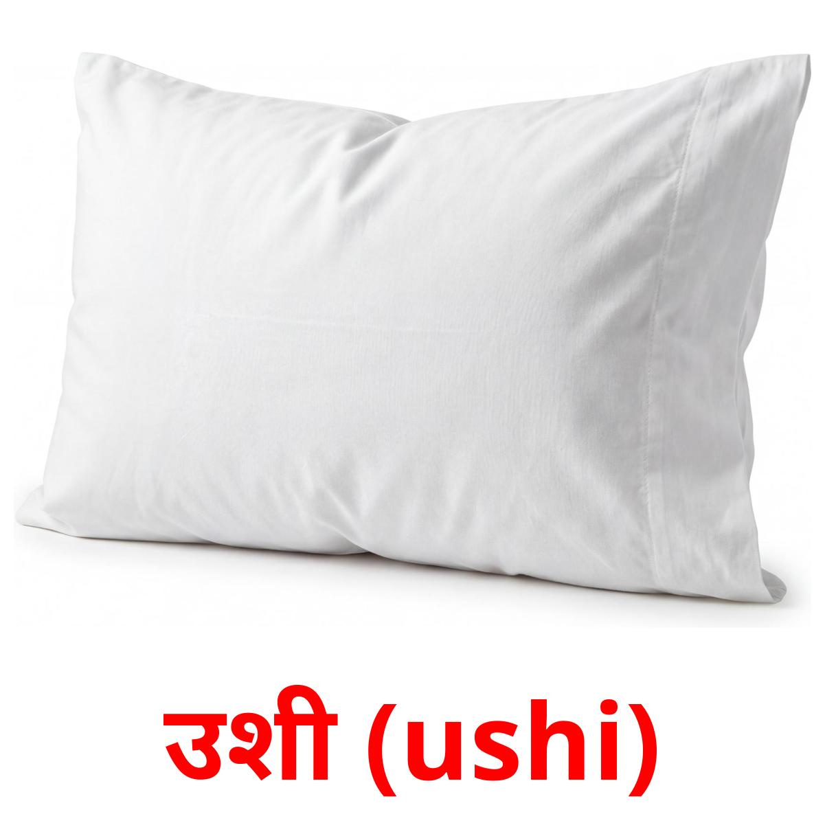 उशी (ushi) cartes de vocabulaire