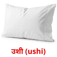 उशी (ushi) cartes de vocabulaire