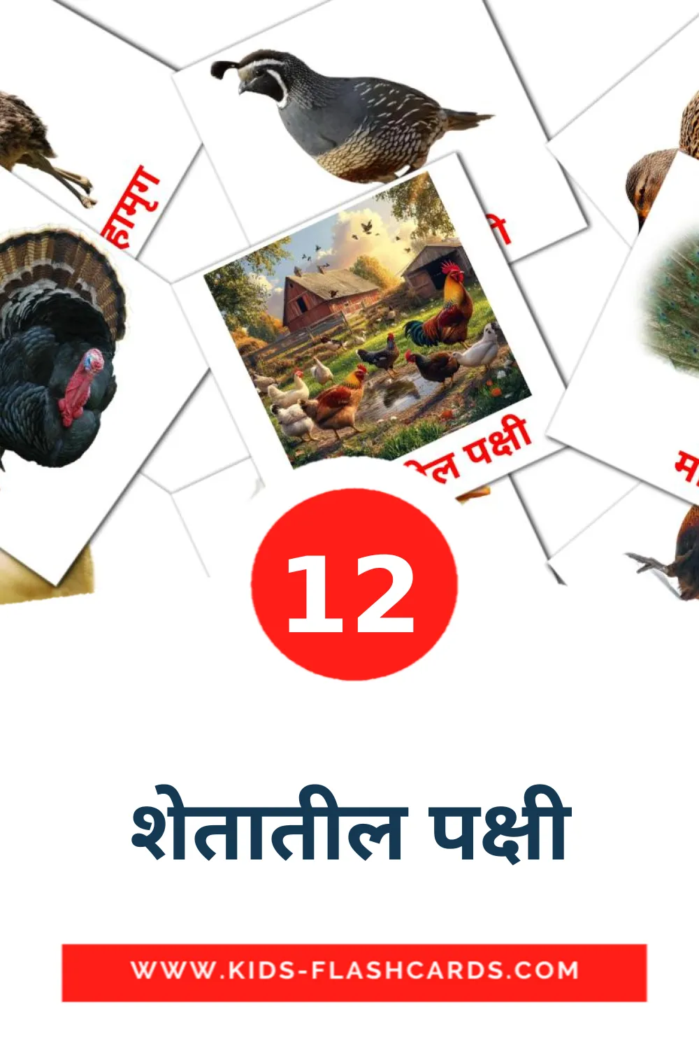 12 शेतातील पक्षी fotokaarten voor kleuters in het marathi