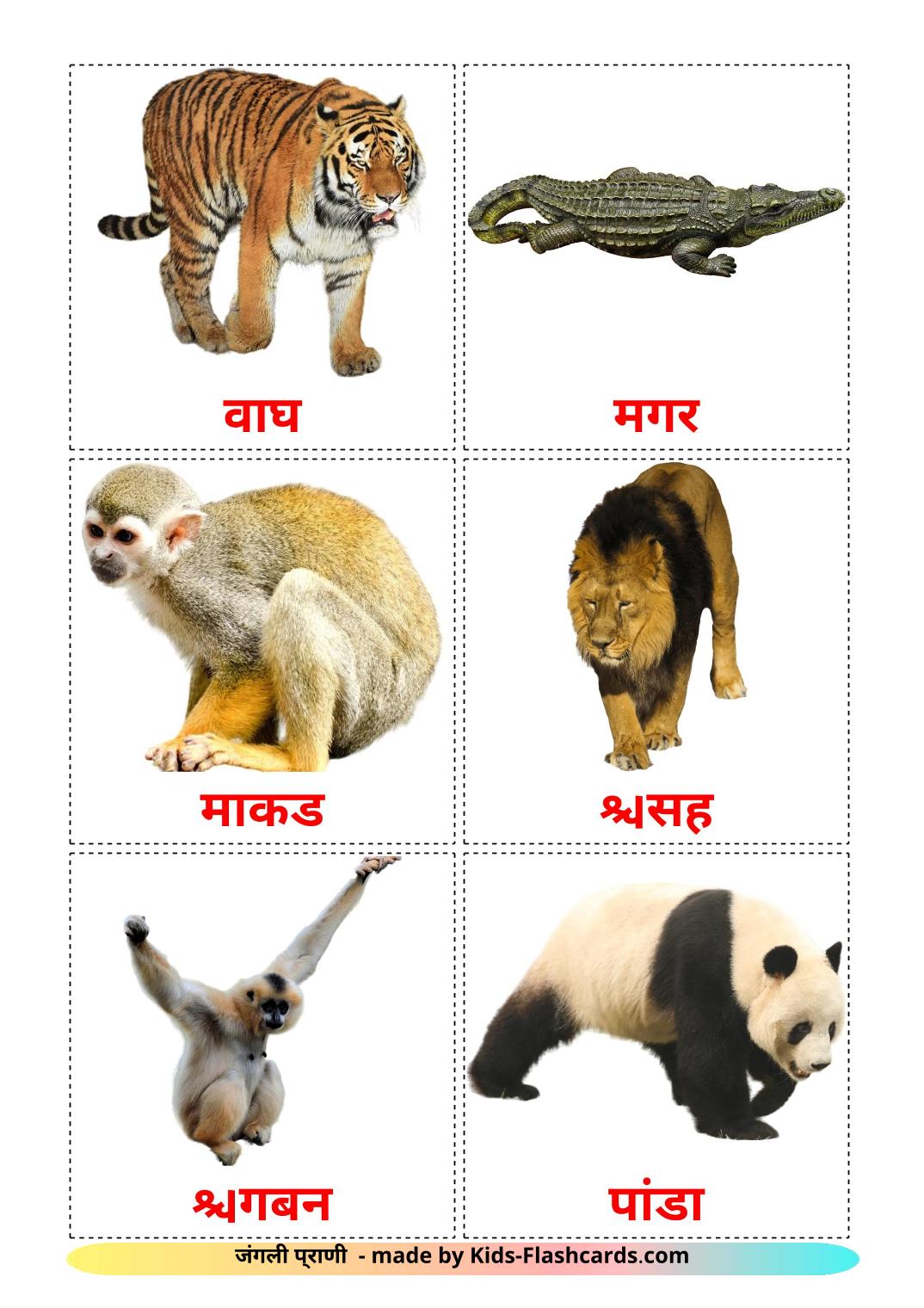 Jungle animals - 21 Free Printable marathi Flashcards 