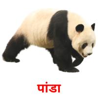 पांडा picture flashcards
