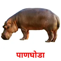 पाणघोडा ansichtkaarten