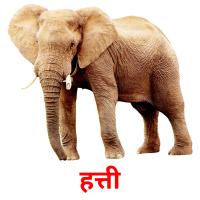 हत्ती card for translate