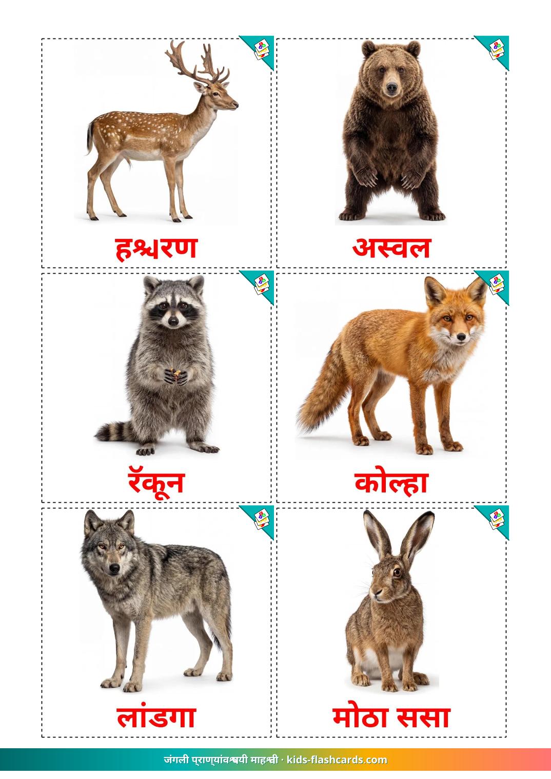 Les Animaux de la Forêt - 23 Cartes de vocabulaire marathi imprimables gratuitement
