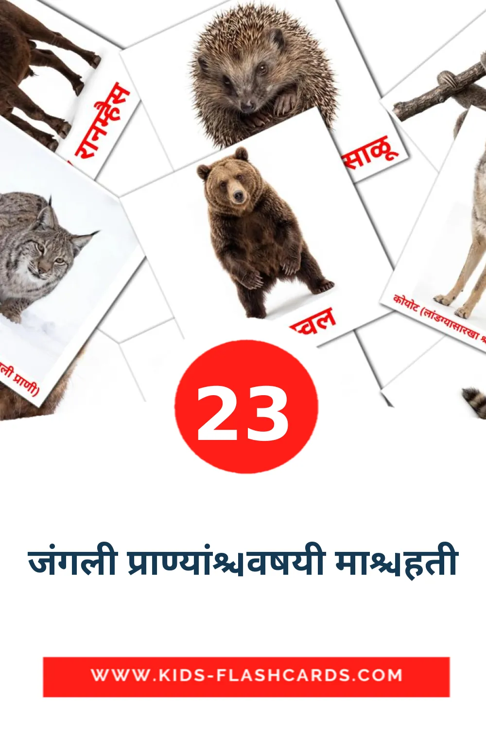 23 cartes illustrées de जंगली प्राण्यांविषयी माहिती pour la maternelle en marathi