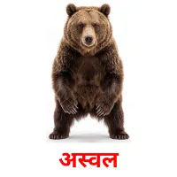 अस्वल cartes de vocabulaire