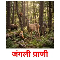 जंगली प्राणी cartes de vocabulaire