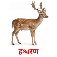 हरिण cartes de vocabulaire