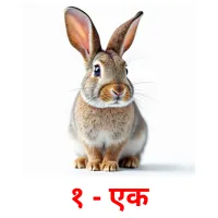 १ - एक picture flashcards