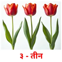 ३ - तीन picture flashcards