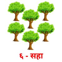 ६ - सहा picture flashcards