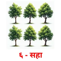 ६ - सहा picture flashcards