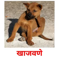 खाजवणे picture flashcards