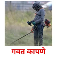 गवत कापणे picture flashcards