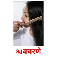 विंचरणे picture flashcards