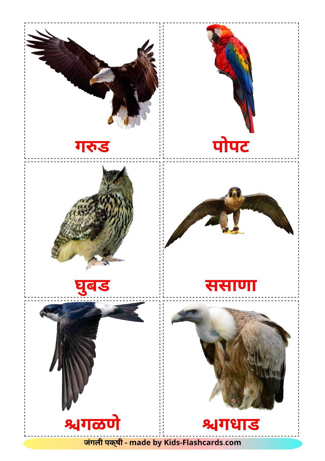 Wilde vogels - 18 gratis printbare marathie kaarten
