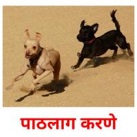 पाठलाग करणे picture flashcards