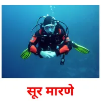 सूर मारणे picture flashcards