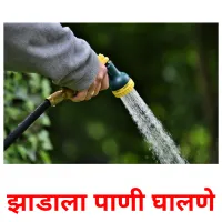 झाडाला पाणी घालणे cartes de vocabulaire