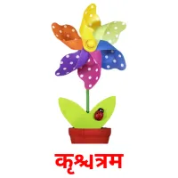 कृत्रिम picture flashcards