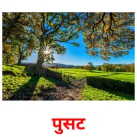 पुसट picture flashcards