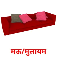 मऊ/मुलायम picture flashcards