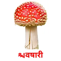 विषारी picture flashcards