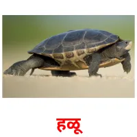 हळू picture flashcards