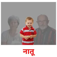 नातू picture flashcards