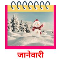 जानेवारी picture flashcards