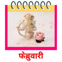 फेब्रुवारी picture flashcards