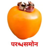 परसिमोन Bildkarteikarten