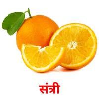 संत्री picture flashcards