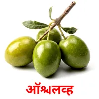 30 Printable Vegetables Flashcards in Marathi (Free PDF)