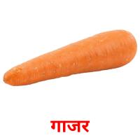 गाजर picture flashcards