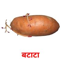 बटाटा picture flashcards