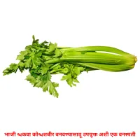 भाजी किंवा कोशिंबीर बनवण्यासाठी उपयुक्त अशी एक वनस्पती picture flashcards