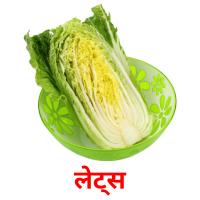 लेट्स picture flashcards