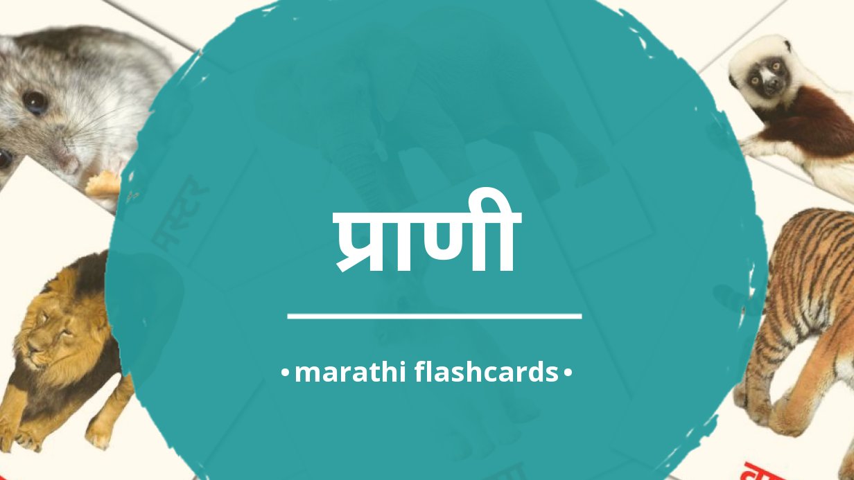 46 FREE Animals Flashcards in Marathi | 4 Printable PDFs