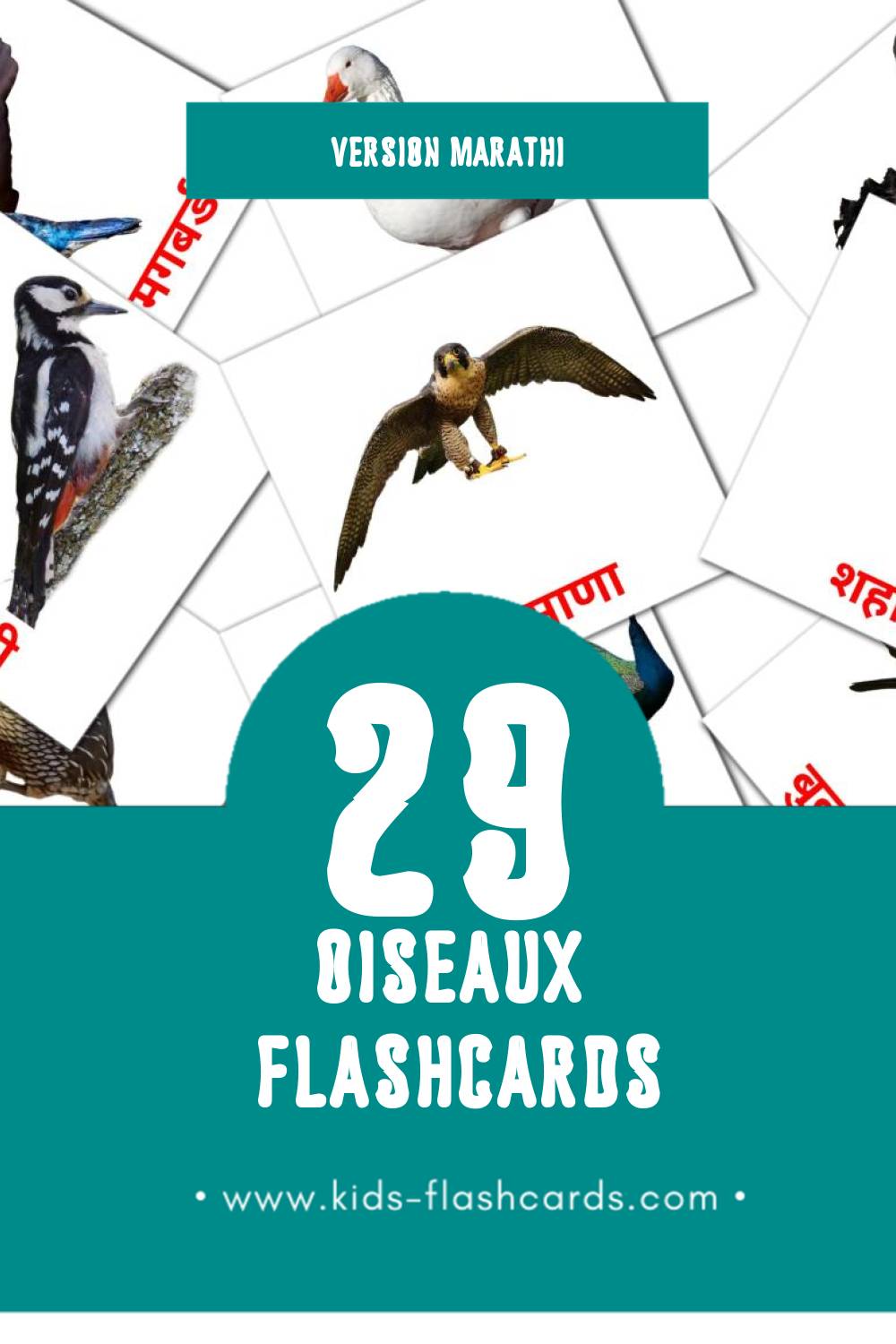 Flashcards Visual पक्षी pour les tout-petits (29 cartes en Marathi)