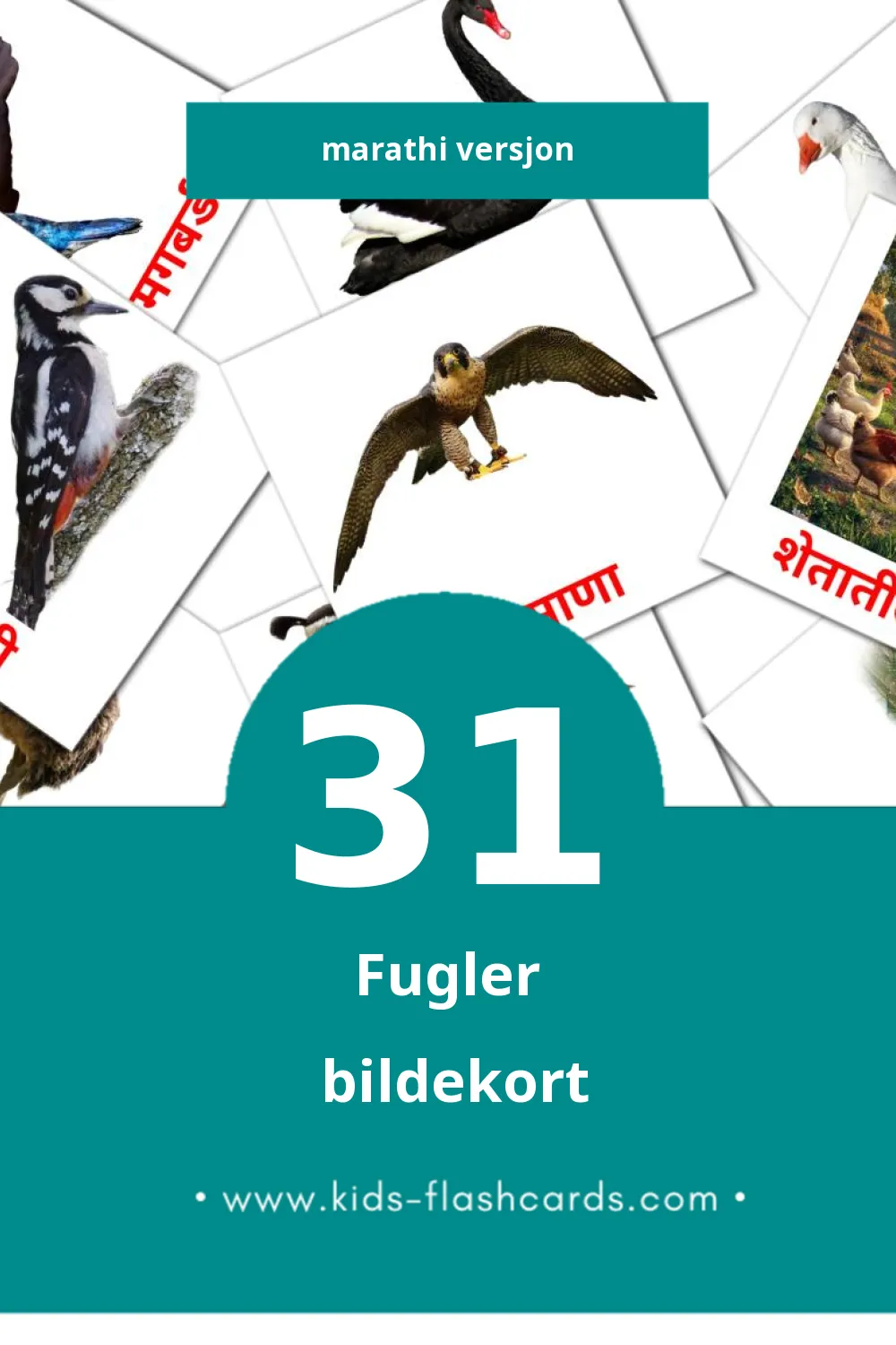 Visuelle पक्षी bildekort for småbarn (31 kort på Marathi)