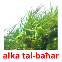 alka tal-baħar Tarjetas didacticas