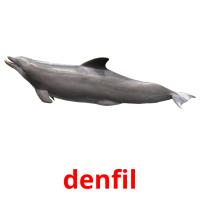 denfil picture flashcards