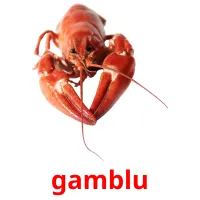 gamblu Bildkarteikarten